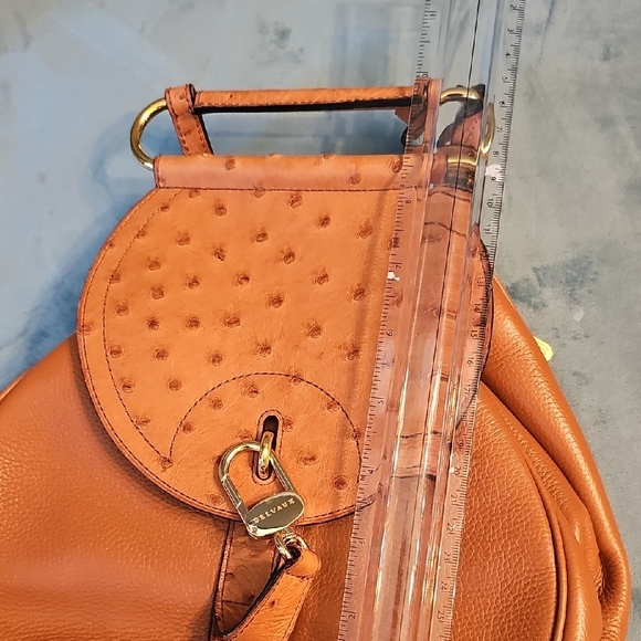 Delvaux Ostrich Leather Elegant Tan Leather Women's Bag - Picture 8 of 8